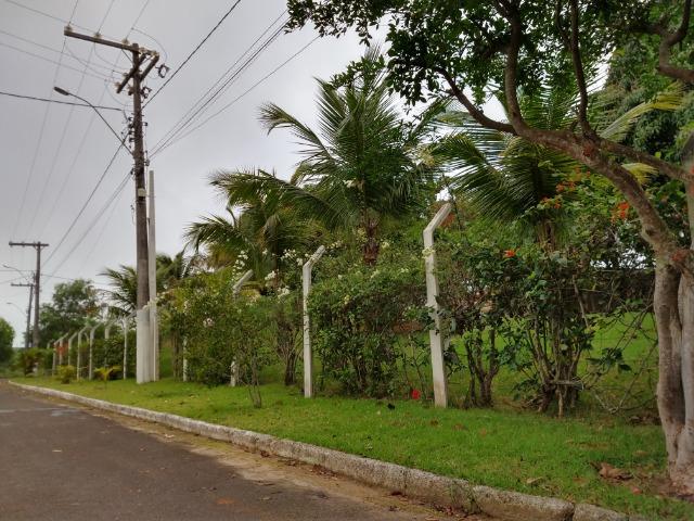 Chácara urbana em Meaipe, pertinho da praia - Foto 15