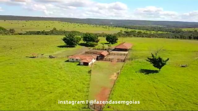 Oportunidade! Fazenda com 3.475 hectares - Foto 7