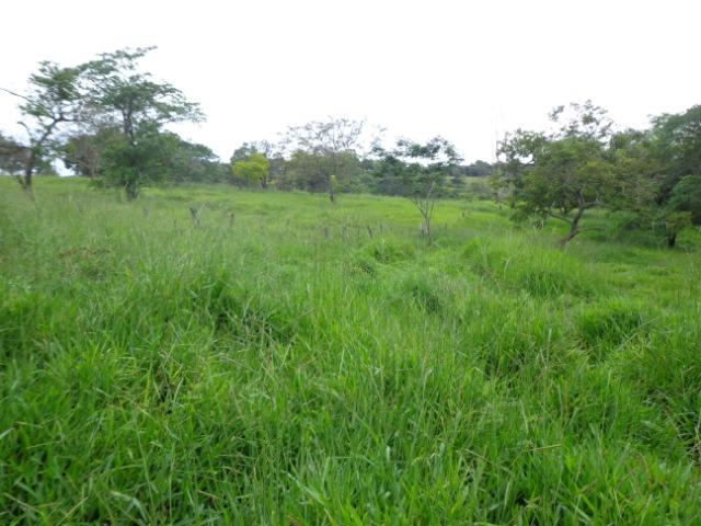 Terrenos, Sítios e Fazendas 70 Há Região de Para de Minas-MG - Foto 3