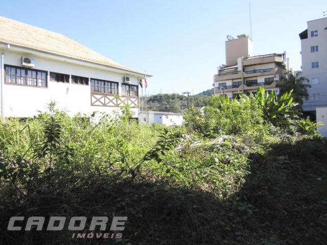 Terreno - Foto 6
