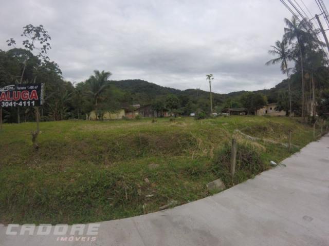 Terreno em blumenau