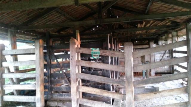 Itagibá. Fazenda pecuária de 375 Hectares com toda infraestrutura. - Foto 10