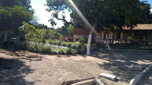 Casa de Campo Figueiras - Foto 13