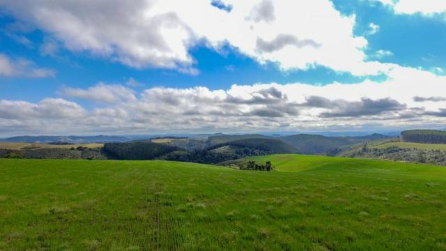 Fazenda (185 alqueires) - Cerro Azul