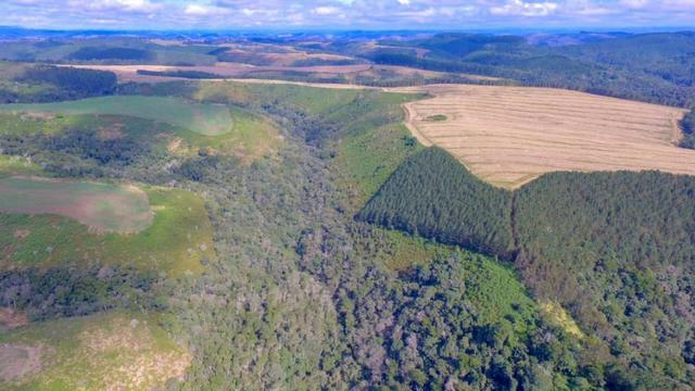 Fazenda (185 alqueires) - Cerro Azul - Foto 11