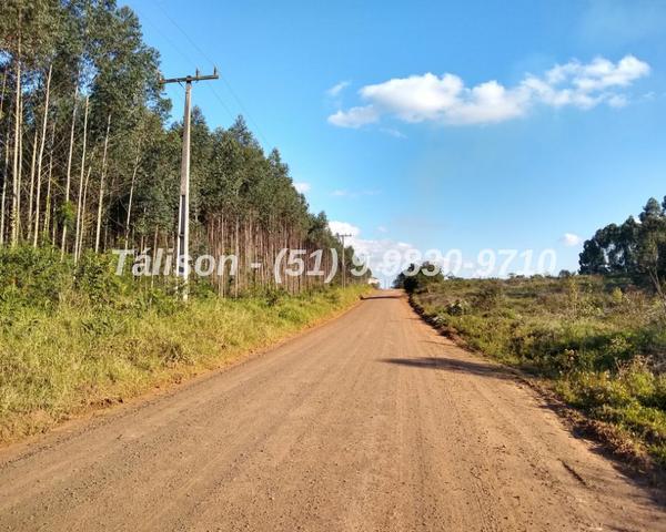 15 mil ou carro de entrega / Parcelas direto - Foto 2