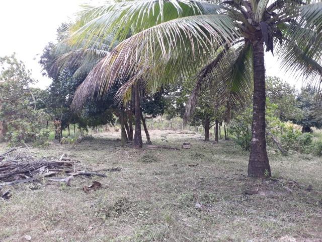 Terreno em Leandrinho 1.000 m² - R$ 25.000,00 - Foto 2