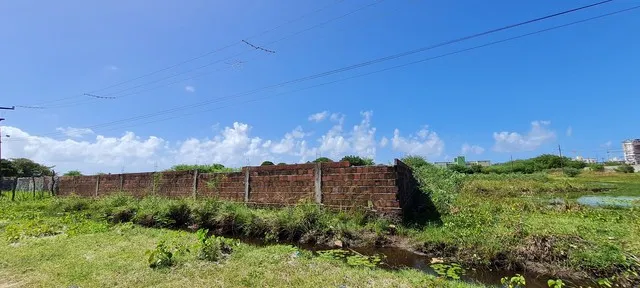 Vendo Area em Cabebelo / Jacaré