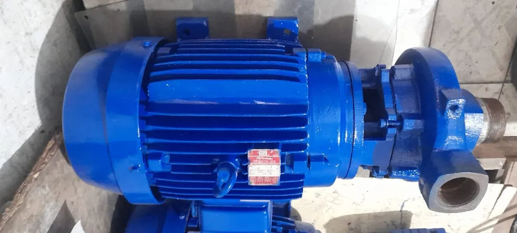 Motor Bomba Weg 20/25CV