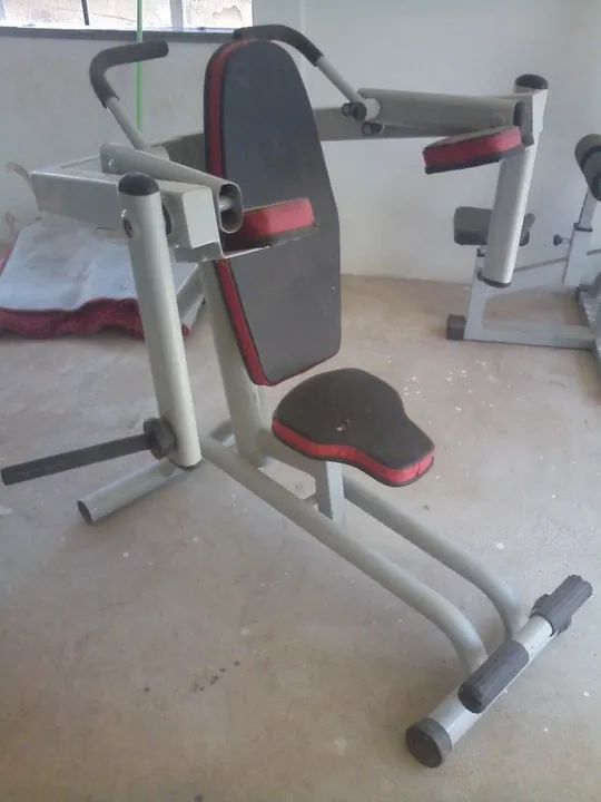 Triceps testa articulado Flex