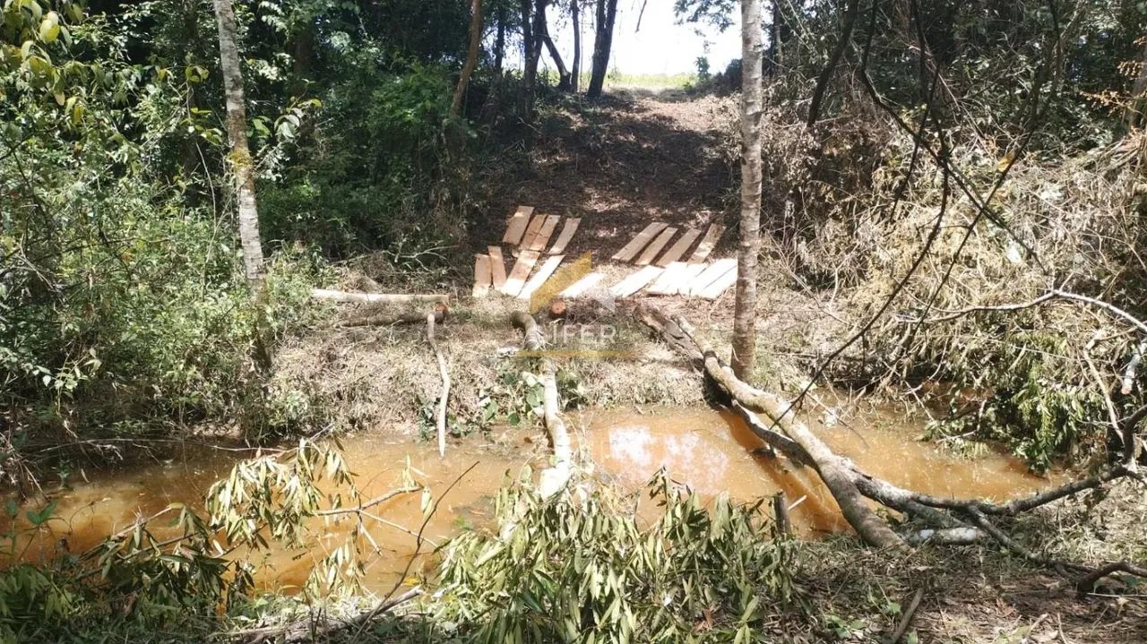 LINDO SITIO A VENDA EM CAPIVARI /SP. - Foto 3