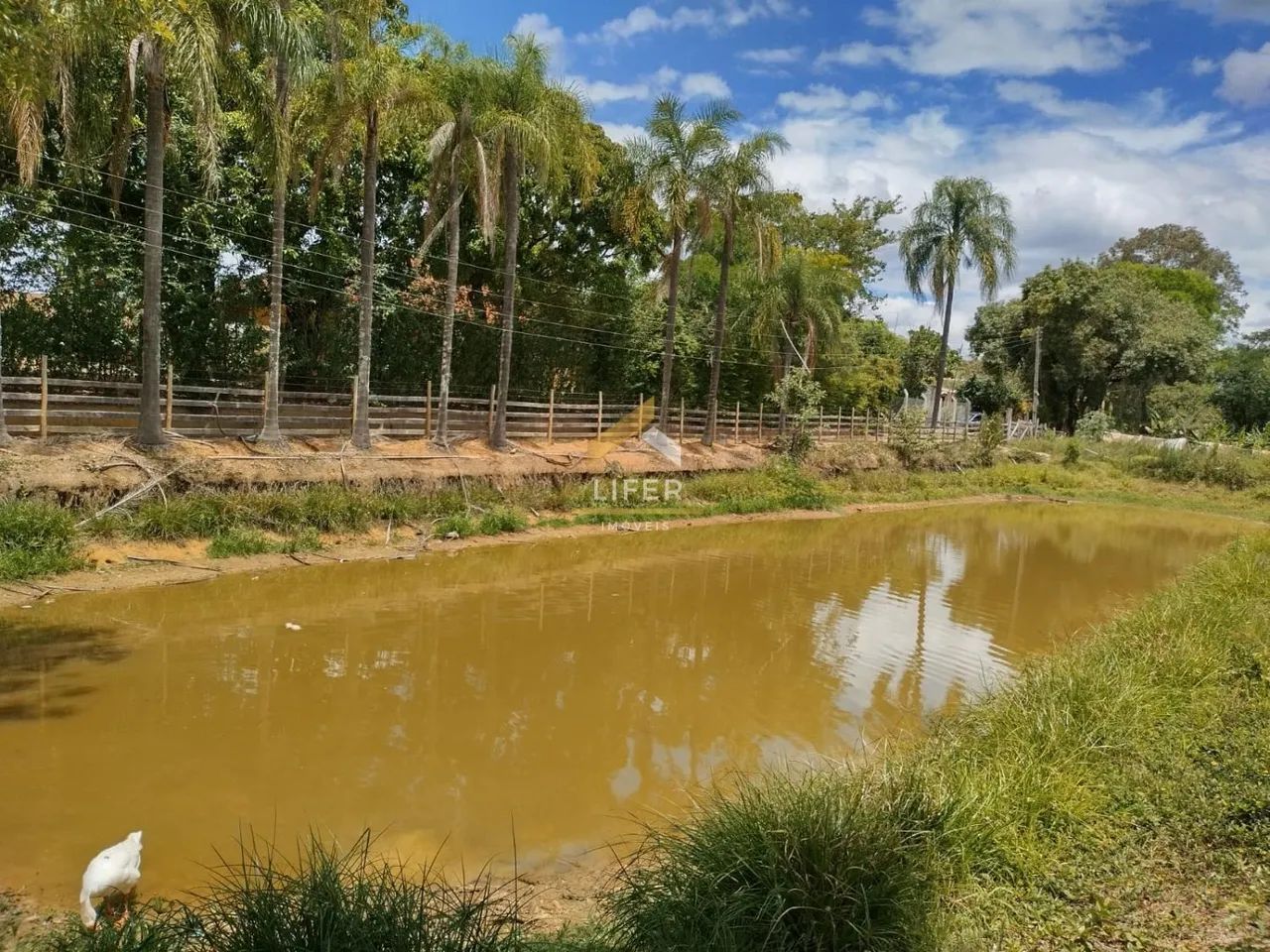 LINDO SITIO A VENDA EM CAPIVARI /SP.