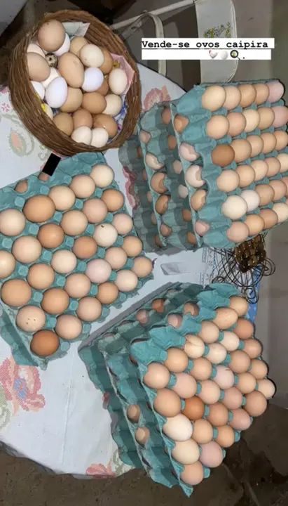 Ovos caipira  - Foto 3