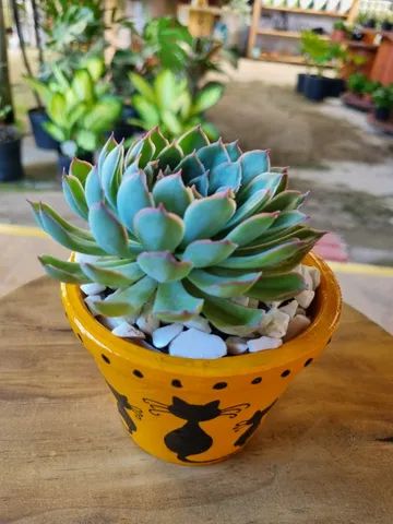 Vaso Cachepot de cerâmica pintado à mão Gatinhos - Foto 3