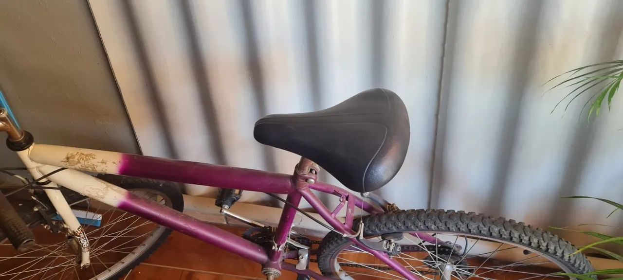 Bicicleta básica 26