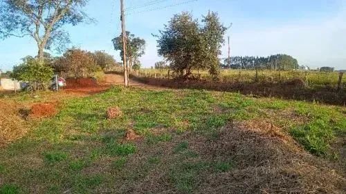 Terreno com linda vista  Sítios Primavera - Jarinu - SP - 5.000m2 - Foto 3