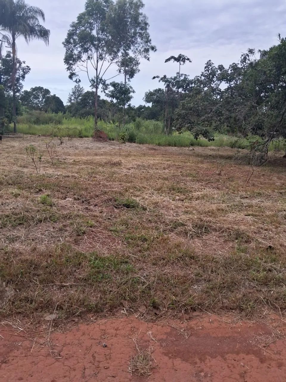 Vende-se chácara no águas corrente antigo saia velha - Foto 3