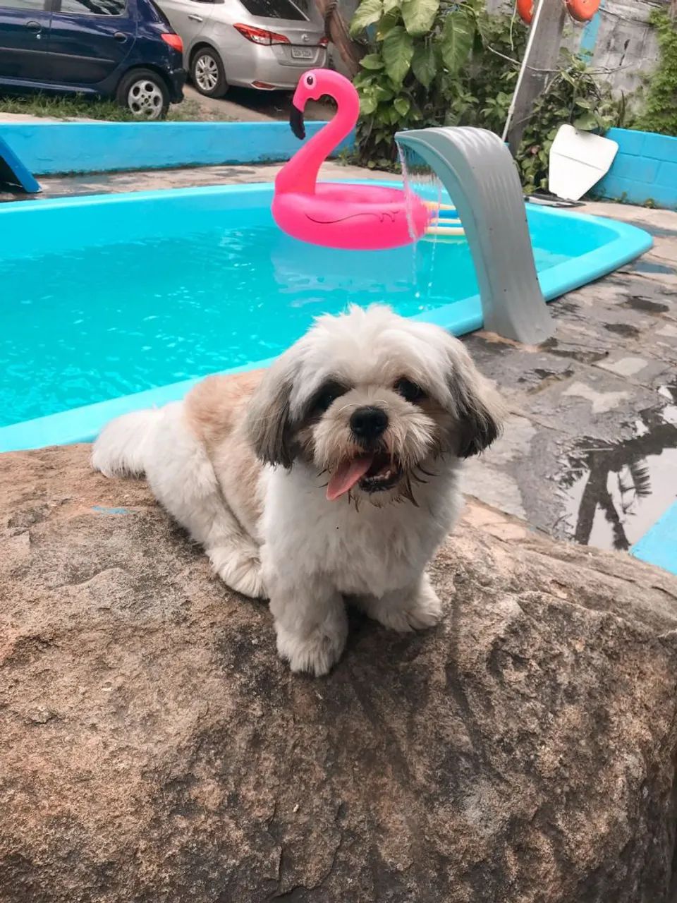 SEMANA SANTA Temporada e eventos "BALNEÁRIO DE CARAPEBUS"  - Foto 10