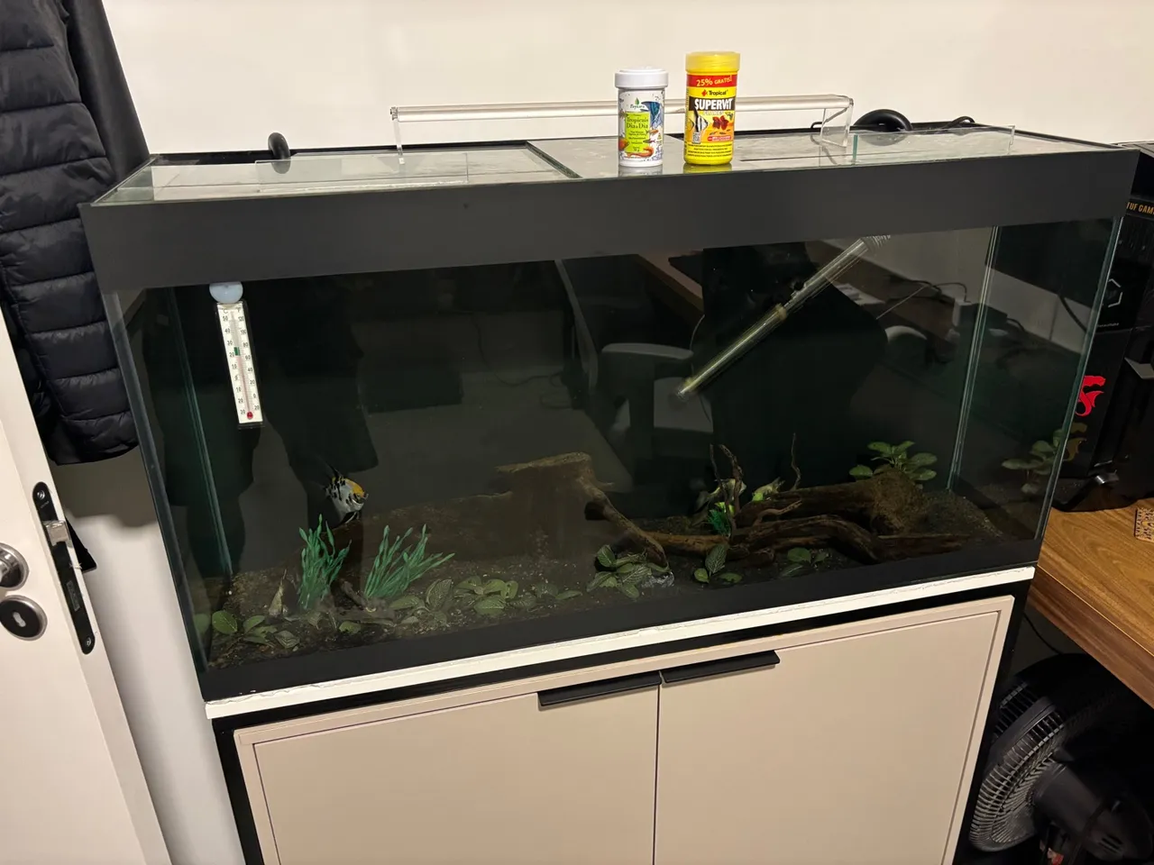 Aquario completo 150L 6mm com movel