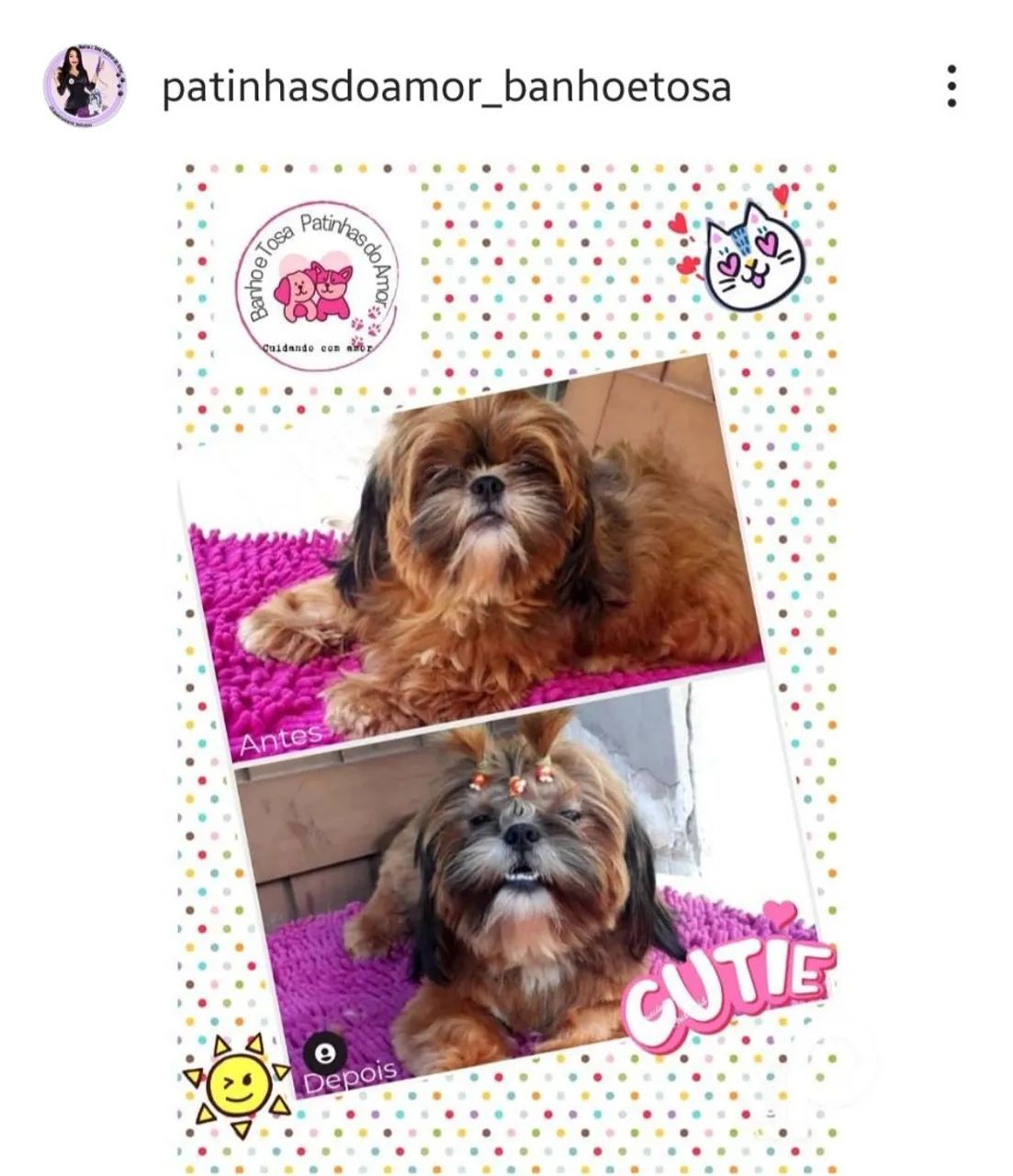 Banho e tosa  - Foto 2