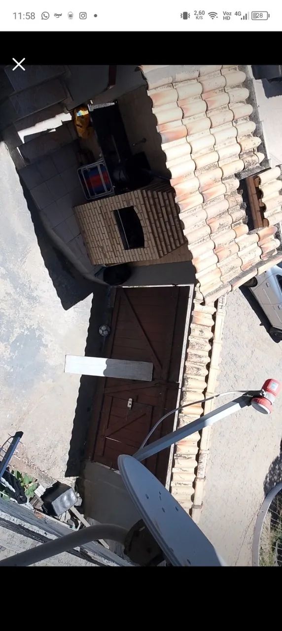 Foto - São Pedro da Aldeia - Baleia