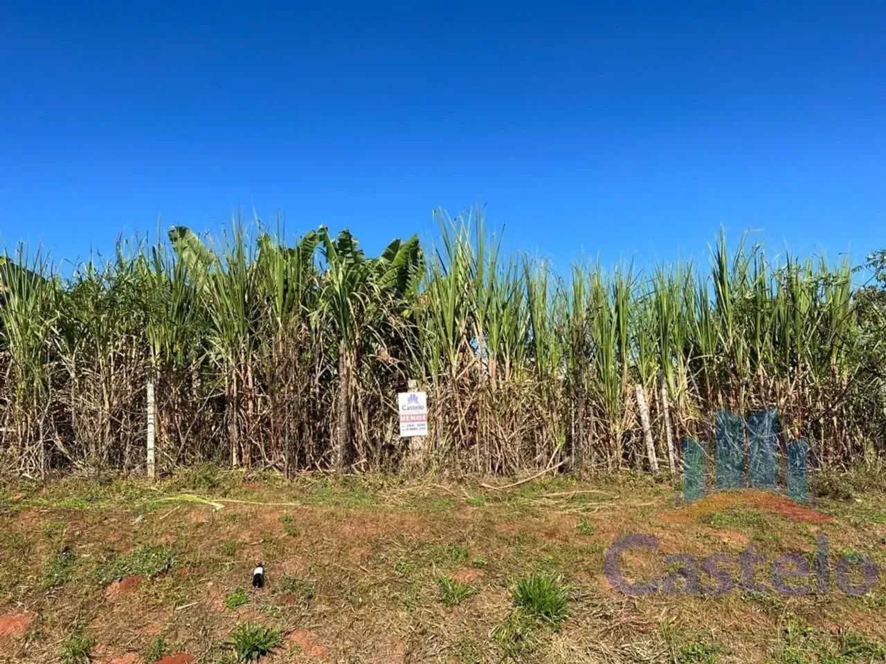 Terreno para Venda em Umuarama / PR no bairro Jardim Europa - Foto 5
