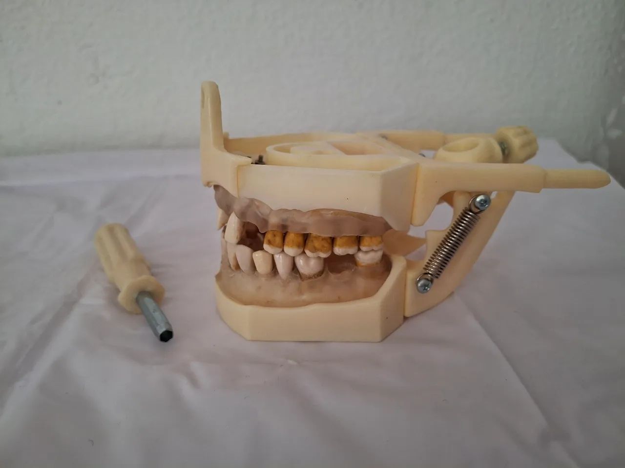 Manequim Dent-art Periodontia - Foto 3
