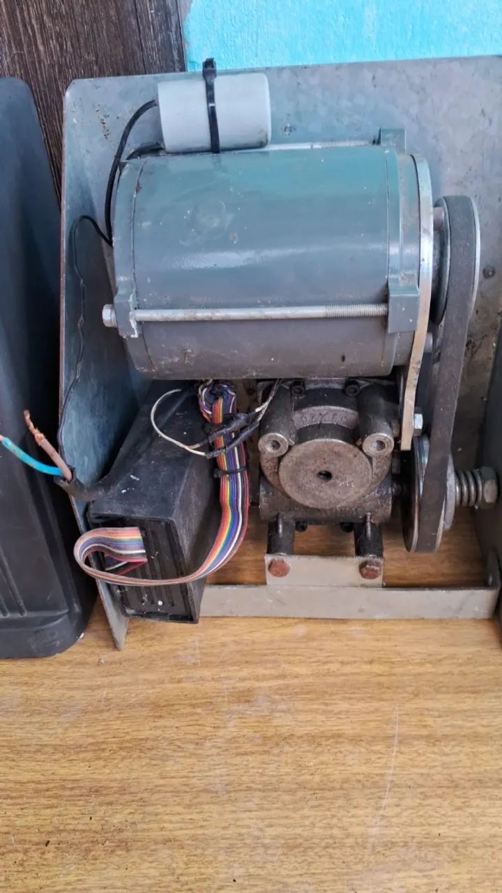 Electronic gate with remote control.64315482748289123