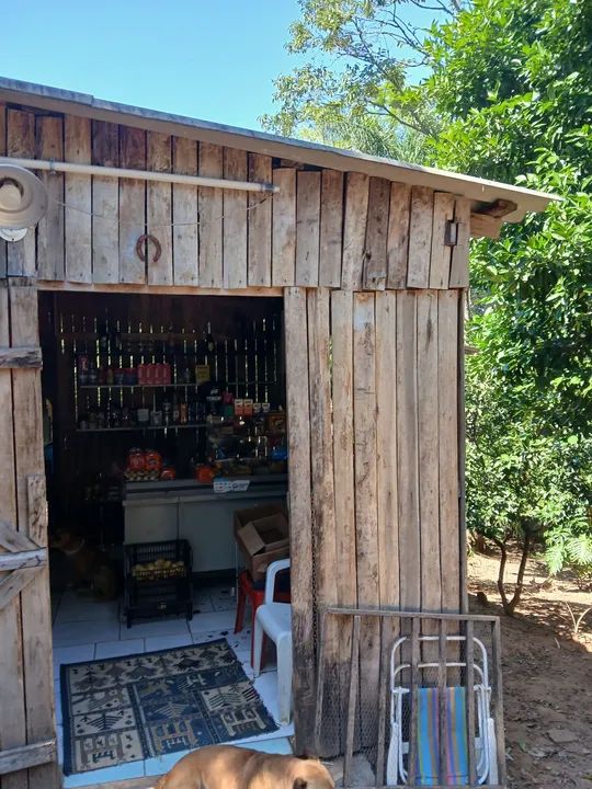 Sítio com pomar e casa sede - Foto 12