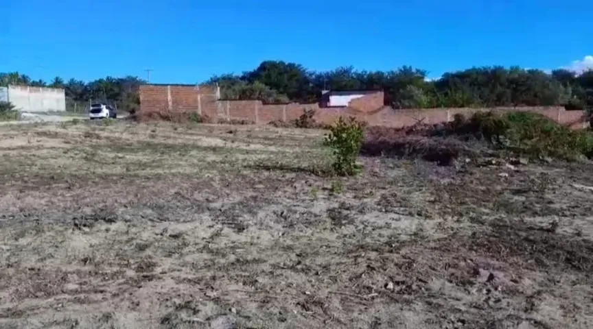 Lotes para granja