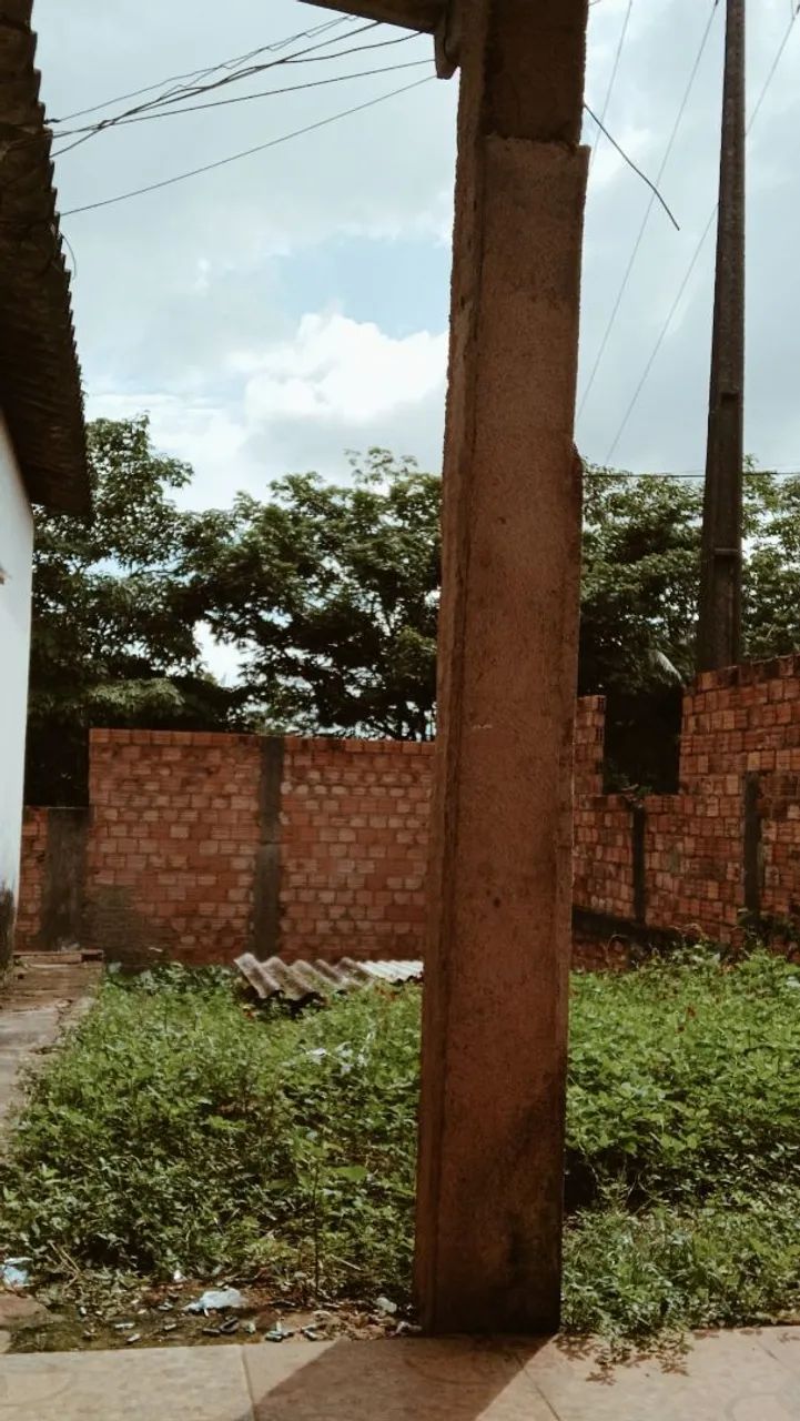 Foto - Porto Velho - Castanheira
