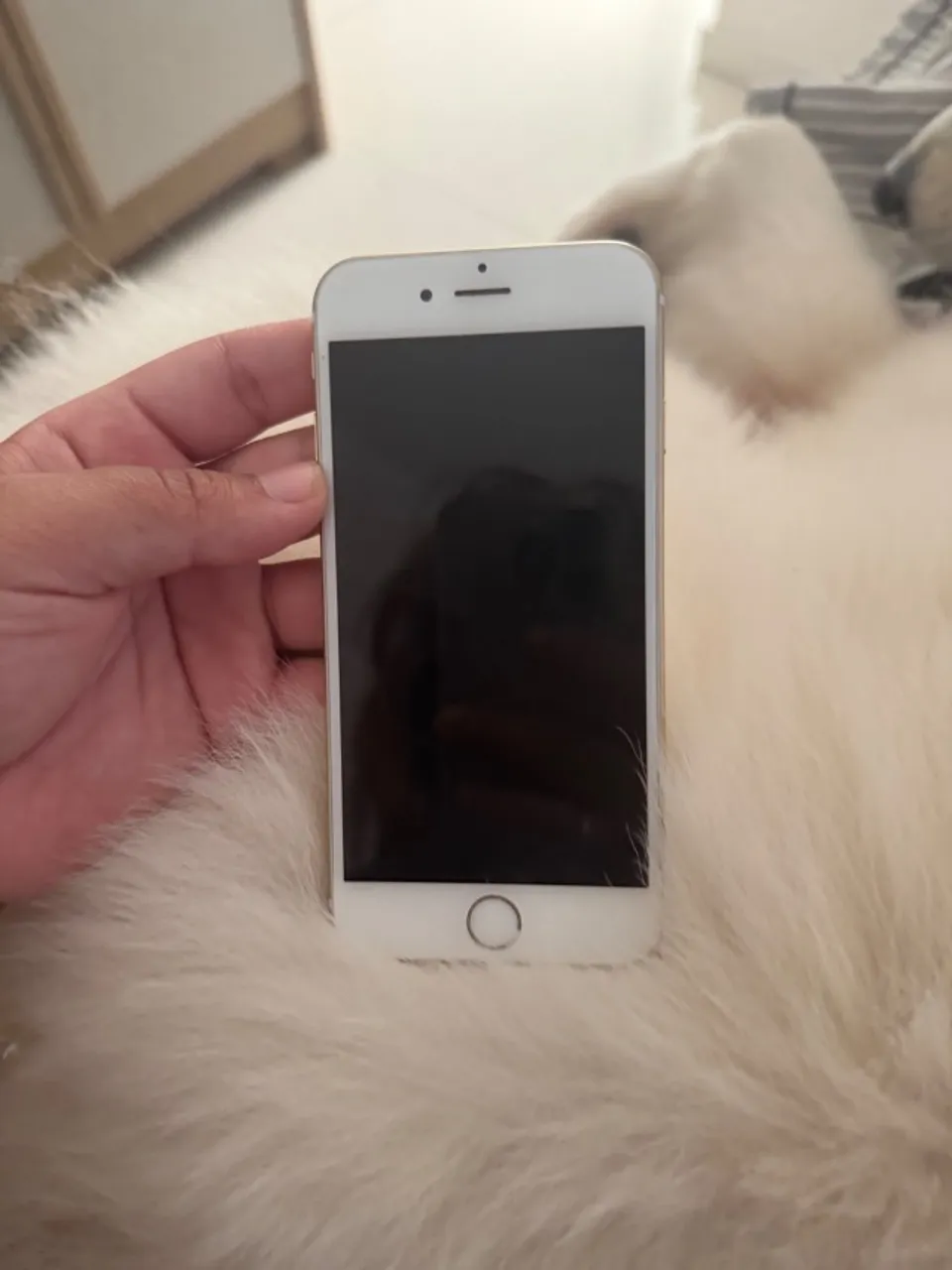 IPHONE 6 perfeito estado