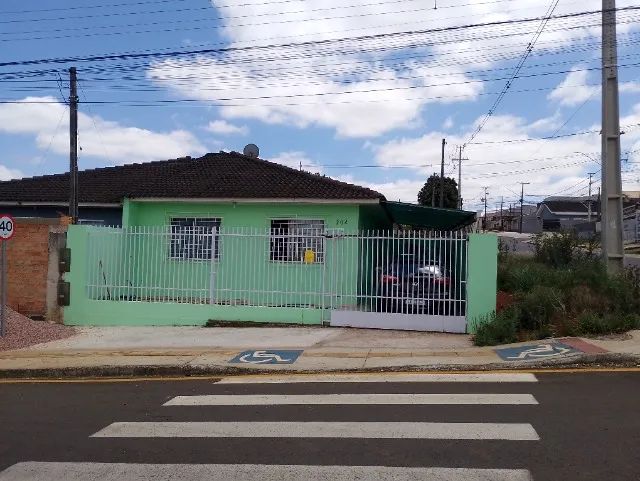 Foto - Ponta Grossa - Cará-cará