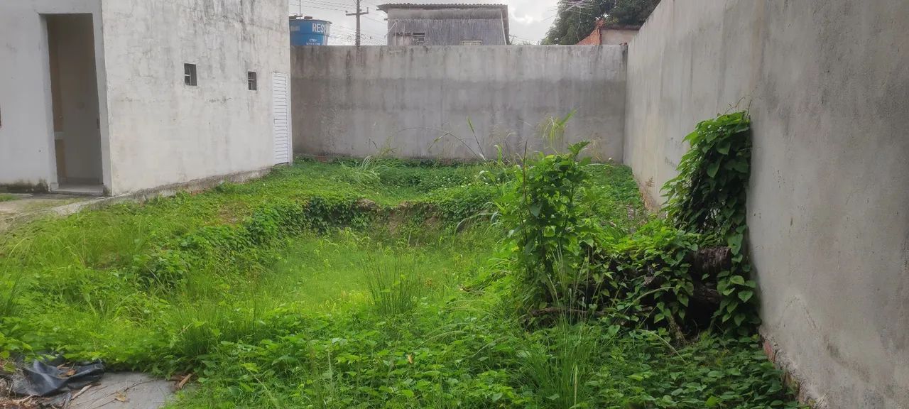 Terreno na PE 22 - Foto 5