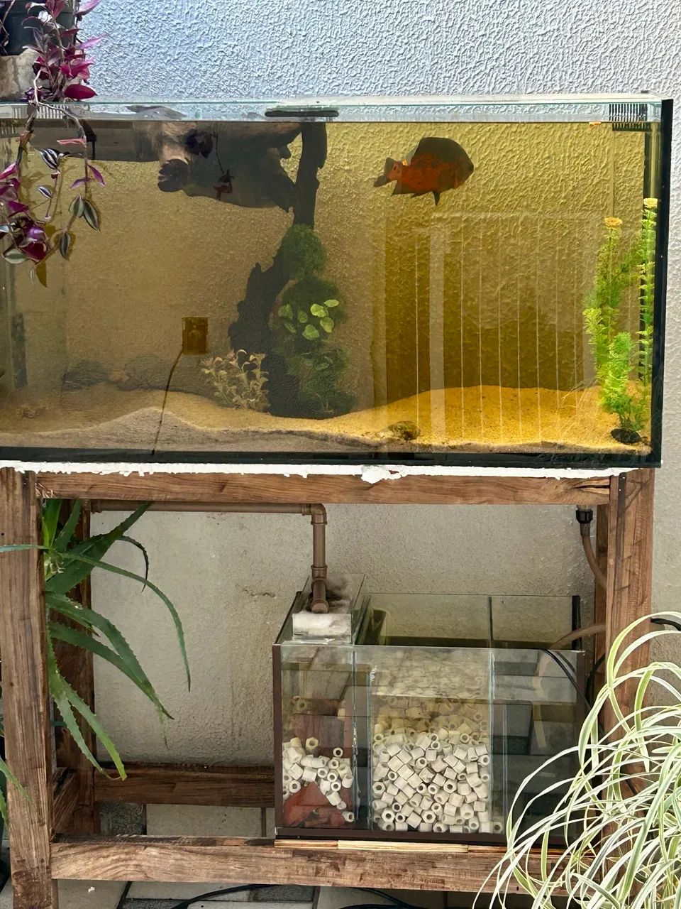 Aquário 200 Lt - Foto 2