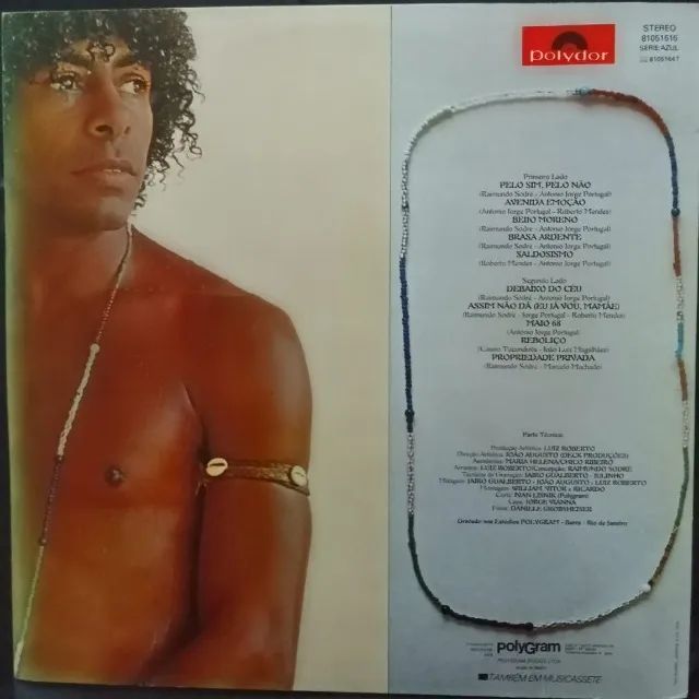 LP-Disco vinil-Raimundo Sodré-Beijo Moreno-Ano 1983 - Foto 2