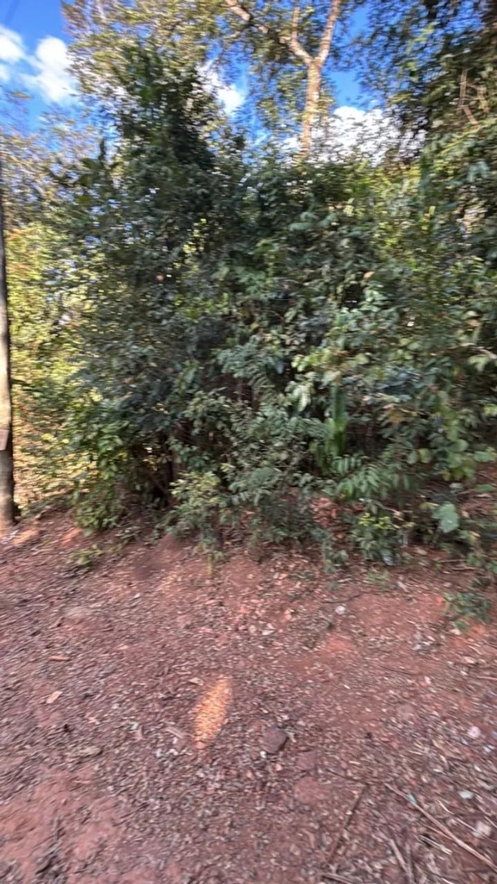 CHÁCARA EM BRUMADINHO  ESTRADA DE SUZANO!!! - Foto 6