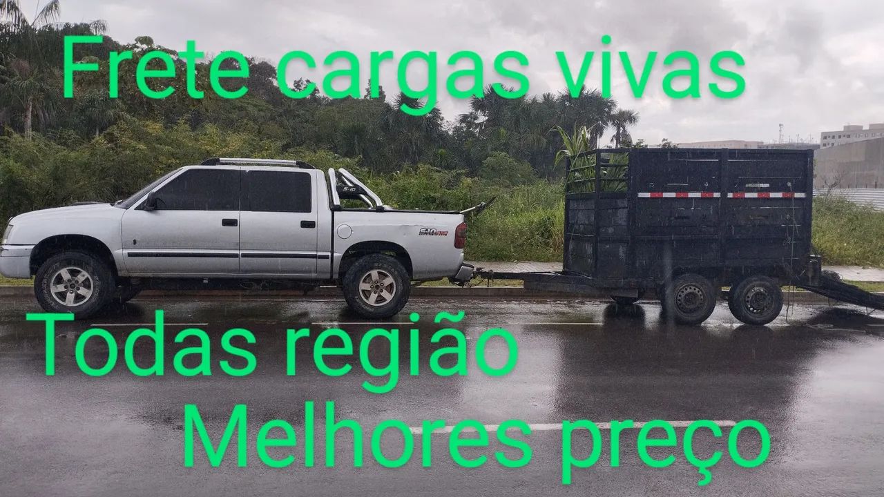 Frete para cargas vivas - todas as regiões - Foto 2