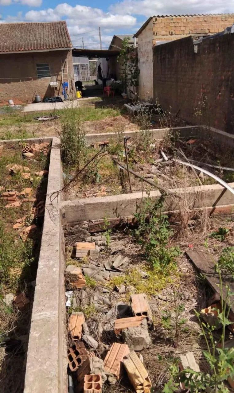 Foto - Canoas - Rio Branco