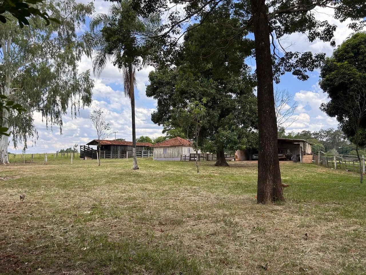 Sítio com casa e área verde - Foto 2