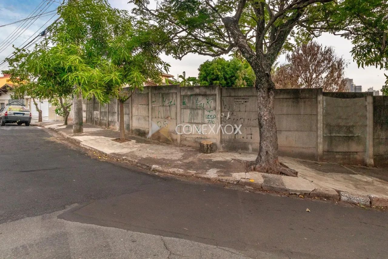 terreno - Jardim Paraíso - Campinas - Foto 2