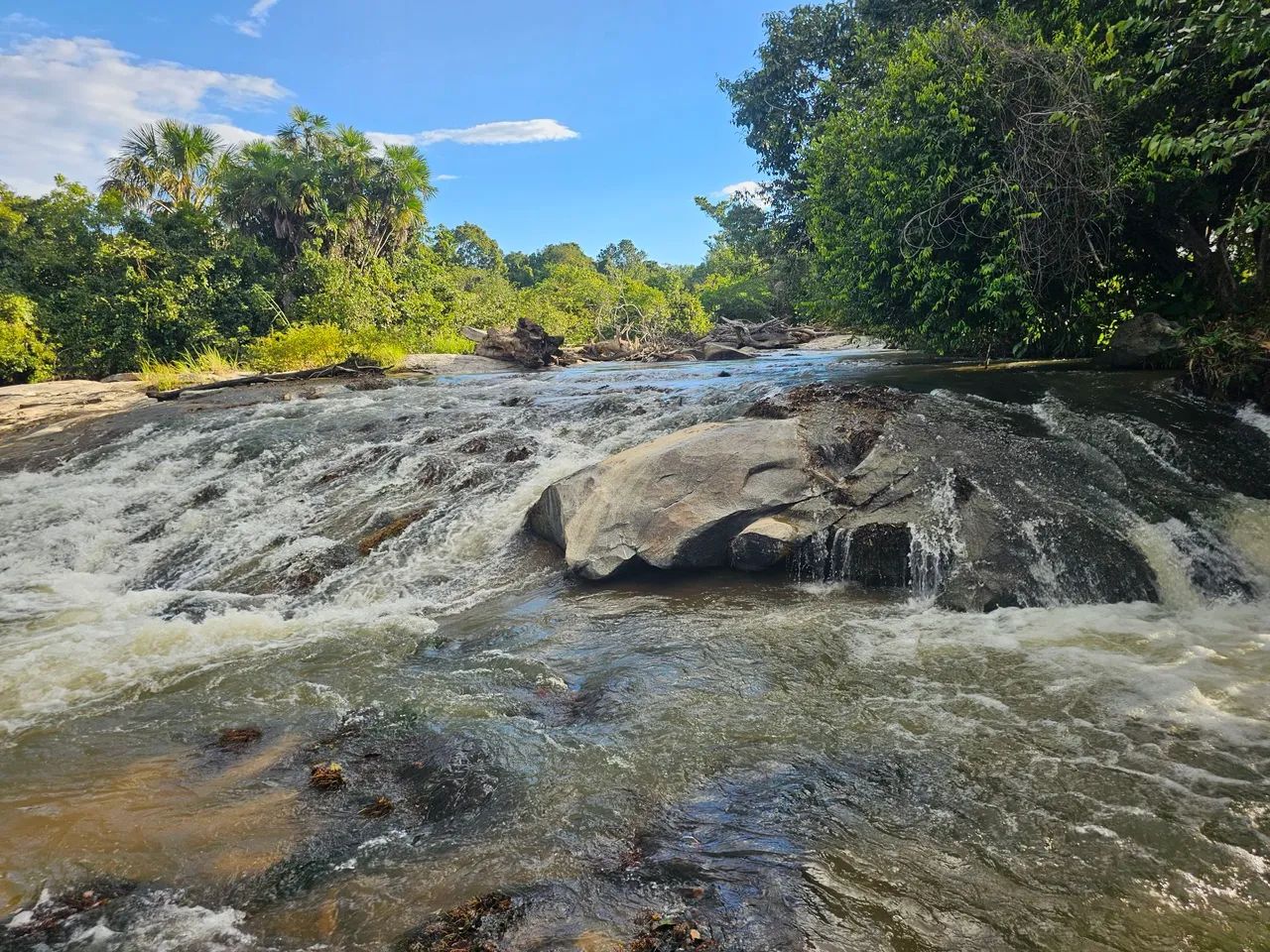 VENDO 7 HECTARES COM CACHOEIRA  - Foto 2