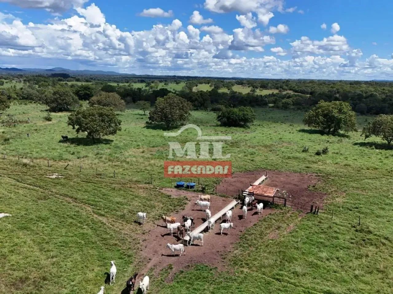 Fazenda 150 Alqueires (726 hectares) Crixás - GO - Foto 4