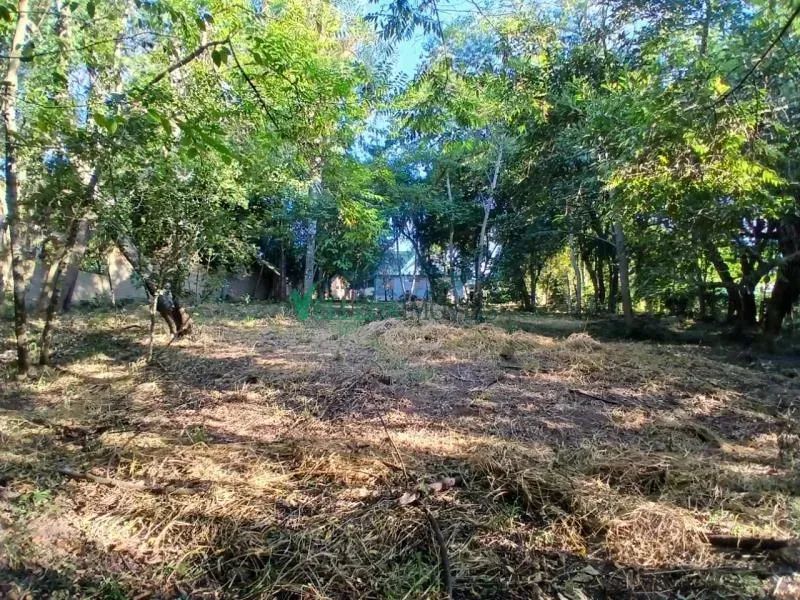 Velleda oferece lindo imóvel comercial no Espigão com 3.200m² e localização estratégica - Foto 6