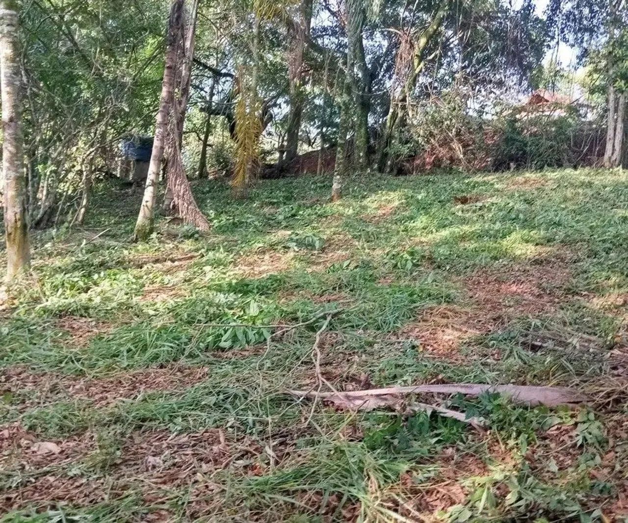 Terreno para chacrinha vende-Se - Foto 2