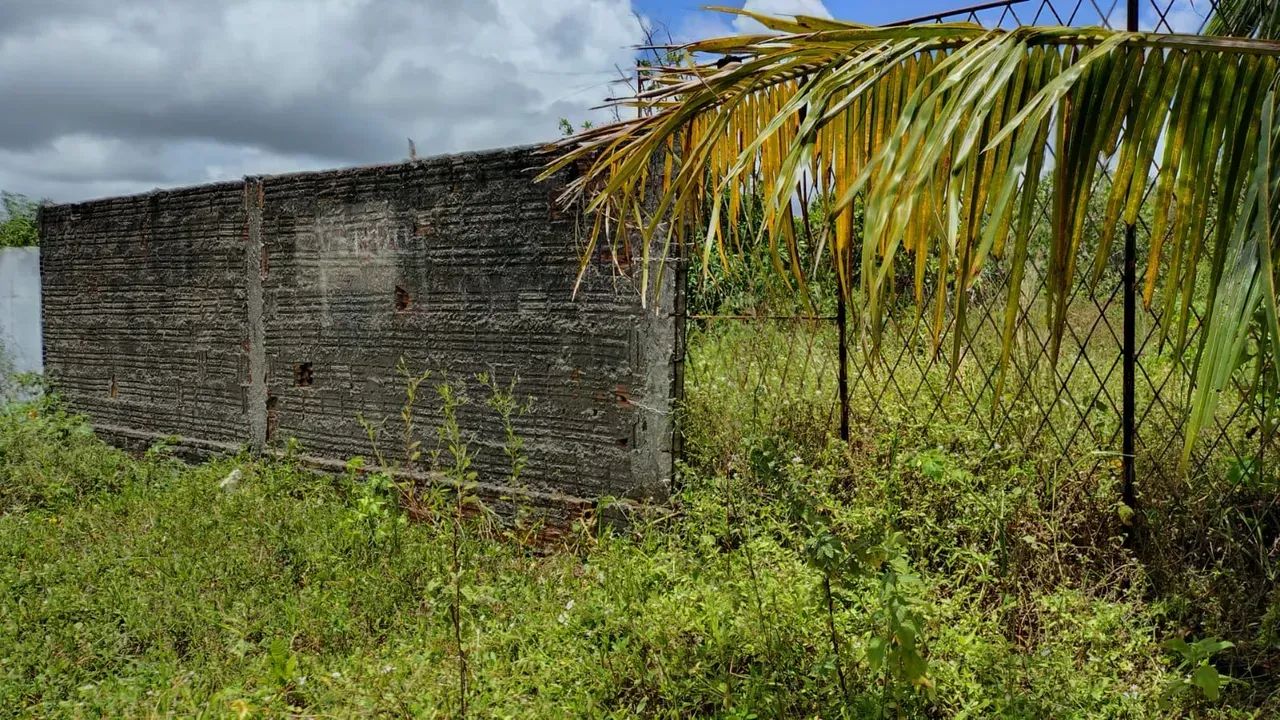 vendo terreno Pq das Árvores  escriturado - Foto 8