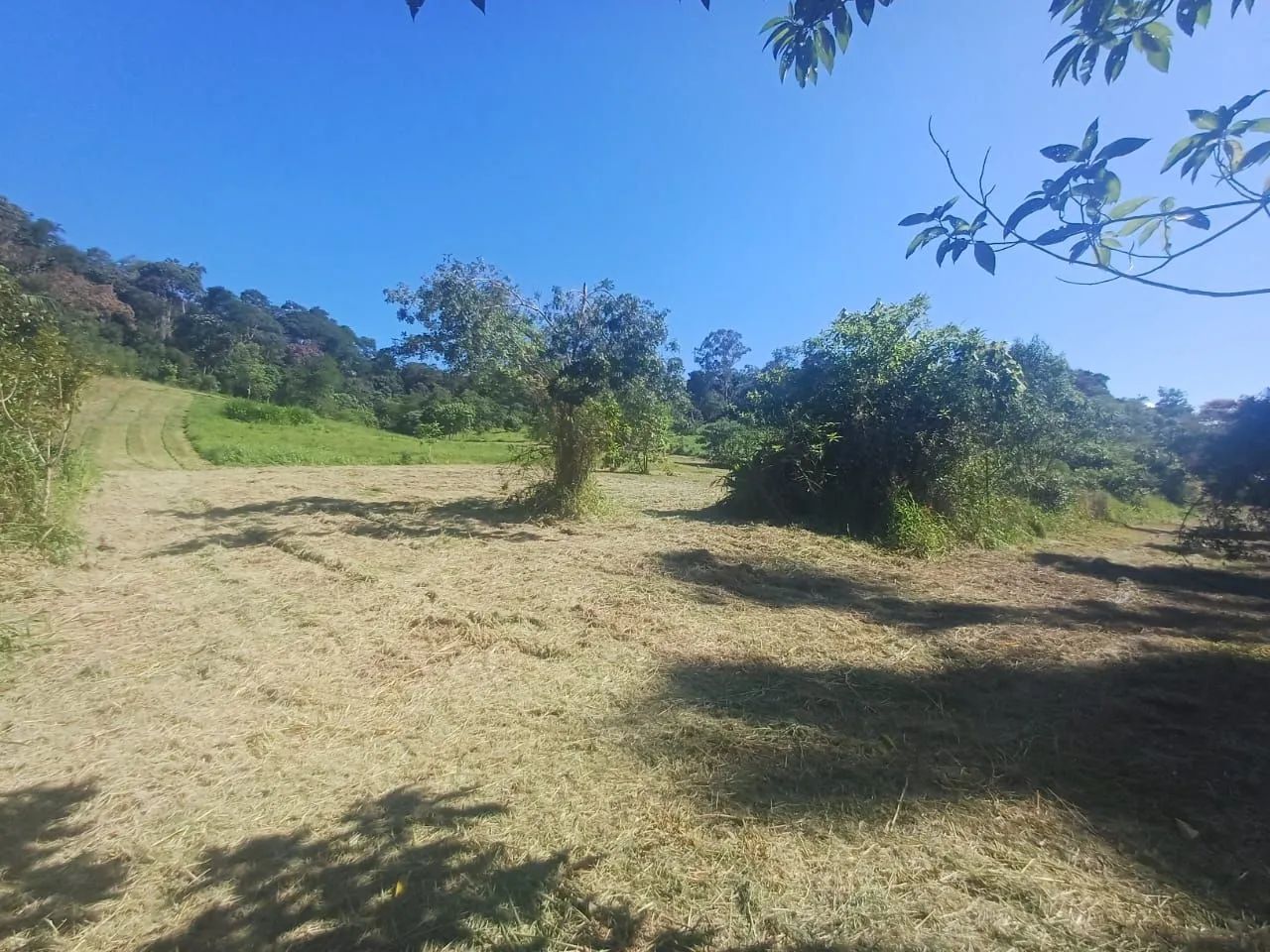 Sítio em Vila Moraes com 33 mil m2 
