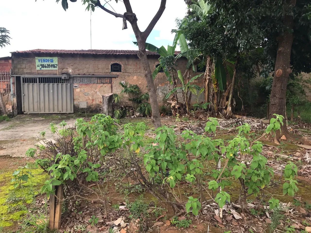 Vendo casa