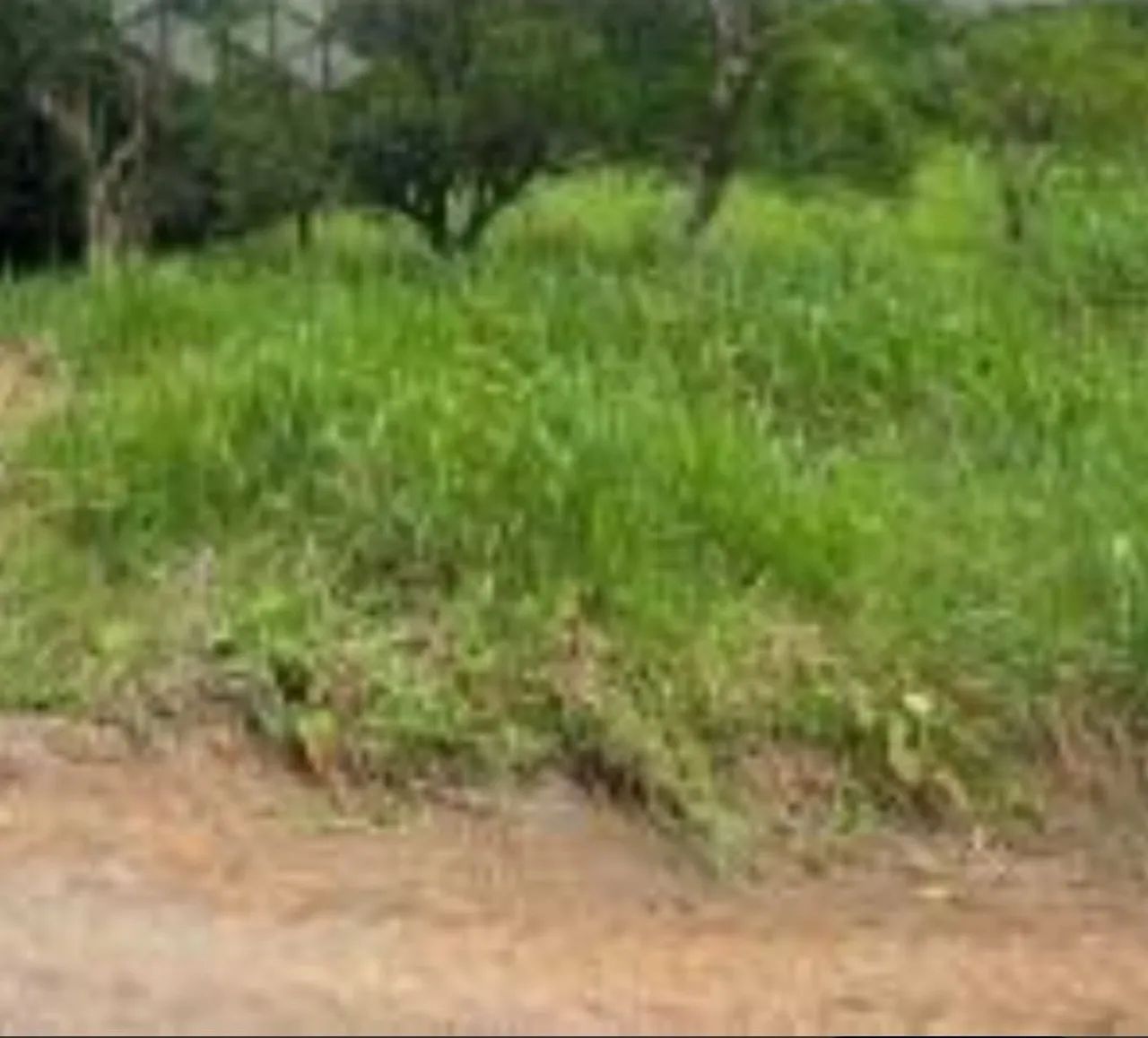 Terreno com igarapé 