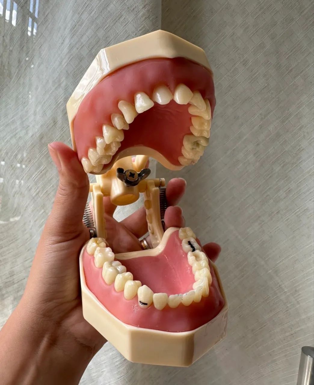 Manequim Dentistica Orais 